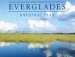 Music from Everglade