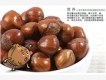 秦子圖片照片