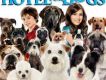流浪狗之家 Hotel for Dogs