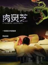 李帥演過的電影電視劇線上看_影視作品大全_好看的明星