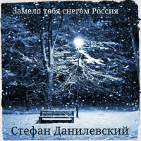 Замело тебя снегом Россия