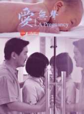 王菁演過的電影電視劇線上看_影視作品大全_好看的明星