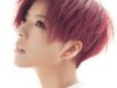 莫艷琳歌曲歌詞大全_莫艷琳最新歌曲歌詞