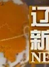 遼寧新聞最新一期線上看_全集完整版高清線上看 - 蟲蟲綜藝