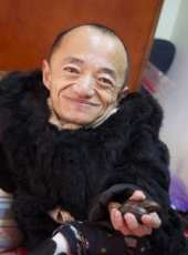 藝剪裁夢線上看_高清完整版線上看_好看的電影