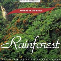 Rainforest最新歌曲_最熱專輯MV_圖片照片