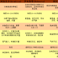 Sayona個人資料介紹_個人檔案(生日/星座/歌曲/專輯/MV作品)