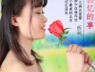 西祠歌曲歌詞大全_西祠最新歌曲歌詞