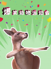 晶晶來了動漫全集線上看_卡通片全集高清線上看_好看的動漫