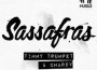 Chardy、Timmy Trumpet