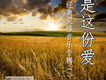 是這份愛（經典靈修音樂專輯一）