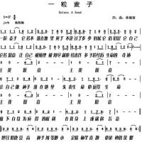 Lamb Music 小羊詩歌圖片照片_照片寫真