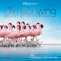 The Crimson Wing: Mystery of the Flamingos (Origin專輯_The Cinematic OrchesThe Crimson Wing: Mystery of the Flamingos (Origin最新專輯