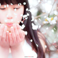 夏雪圖片照片_夏雪