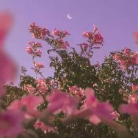 One more time專輯_MoonyOne more time最新專輯