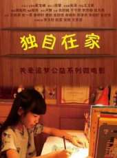獨自在家線上看_高清完整版線上看_好看的電影