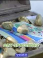 金炳萬的叢林法則最新一期線上看_全集完整版高清線上看_好看的綜藝