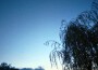 檸集專輯_岑宇檸集最新專輯