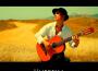 The Flamenco Man