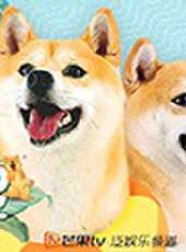 HOHO日記最新一期線上看_全集完整版高清線上看_好看的綜藝