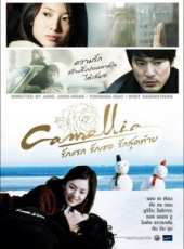 吉高由里子演過的電影電視劇線上看_影視作品大全_好看的明星