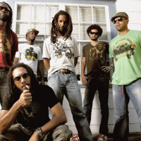 Rootz Underground圖片照片_Rootz Underground