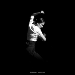 Flamenco圖片照片_Flamenco