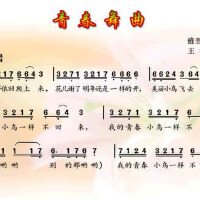 青春舞曲圖片照片_青春舞曲