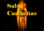 Salsa Caribeñas專輯_Tony VegaSalsa Caribeñas最新專輯
