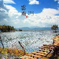 彩雲之上圖片照片_彩雲之上