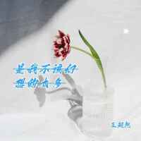 是我不該幻想的太多