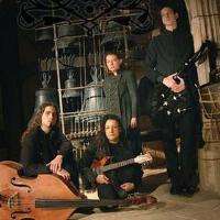 Rosa Crux圖片照片_Rosa Crux