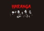 Haranga最新歌曲_最熱專輯MV_圖片照片
