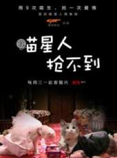 喵星人搶不到線上看_全集高清完整版線上看_分集劇情介紹_好看的電視劇