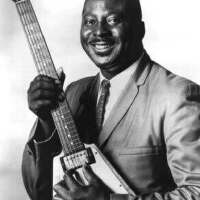 Albert King圖片照片_Albert King