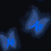 永不失聯的愛