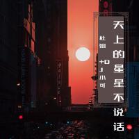 天上的星星不說話