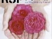RSP歌曲歌詞大全_RSP最新歌曲歌詞
