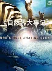 最新2011-2000其它電視劇_好看的2011-2000其它電視劇大全/排行榜_好看的電視劇