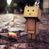 馬向雷歌曲歌詞大全_馬向雷最新歌曲歌詞