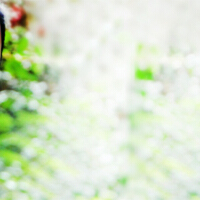 王一宇圖片照片_王一宇