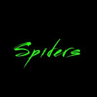 Spiders Beat Pack