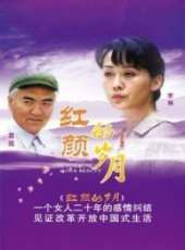 呂中最新電視劇_呂中電視劇作品全集線上看_好看的電視劇