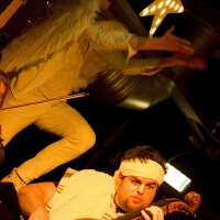 Brown Feather Sparro圖片照片_Brown Feather Sparro