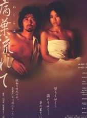 吉野紗香演過的電影電視劇線上看_影視作品大全_好看的明星