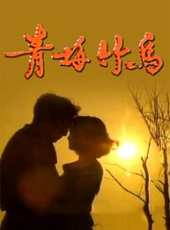 洪小玲演過的電影電視劇線上看_影視作品大全_好看的明星