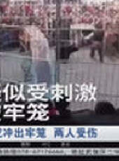 成都全接觸最新一期線上看_全集完整版高清線上看 - 蟲蟲綜藝