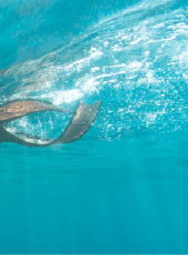 最新2020其它電視劇_好看的2020其它電視劇大全/排行榜_好看的電視劇
