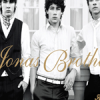 Jonas&nbsp;Brothe