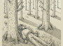 Into the Wild專輯_Team MeInto the Wild最新專輯